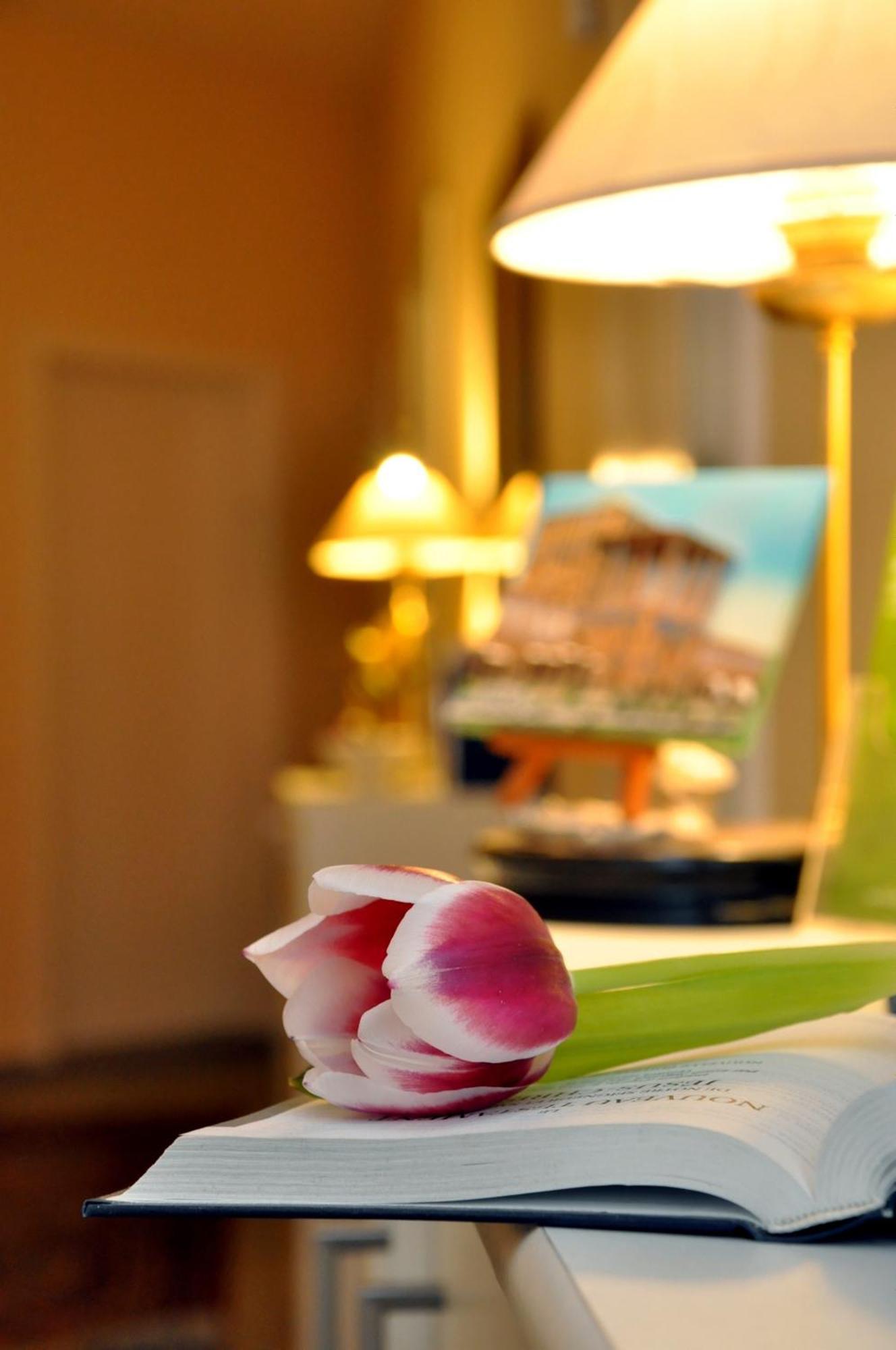 Hotel Apadana Frankfurt Frankfurt am Main Kültér fotó